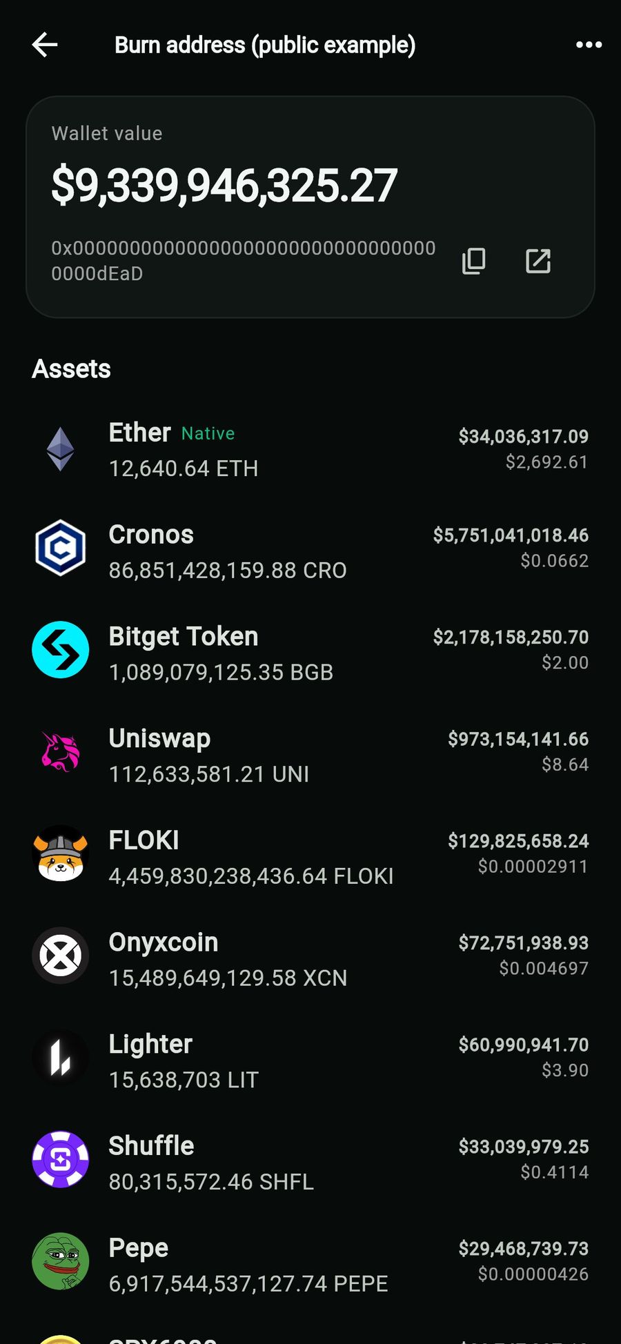 Read-only wallet holdings for a public example address on Ethereum: Ether and token balances from public chain data